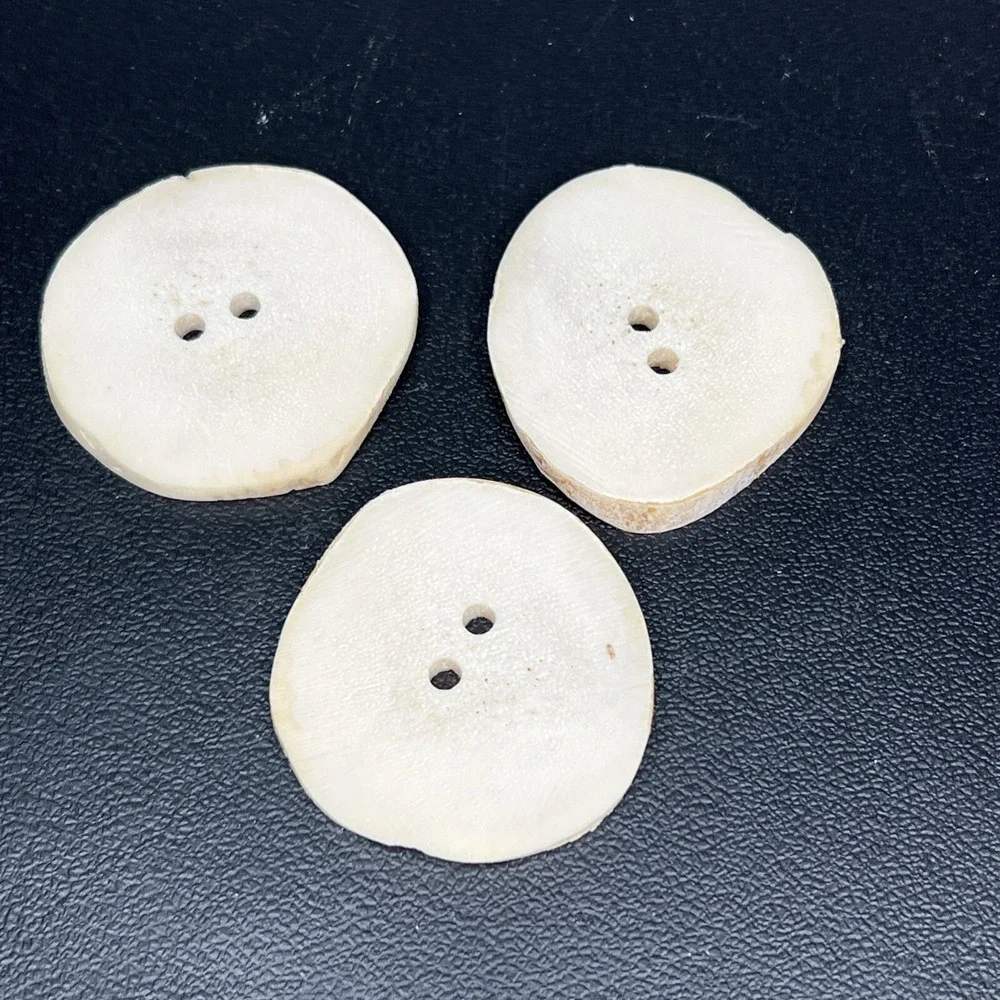 Antler Button Whitetail Large Buttons Elk Antler Buttons Craft Taxidermy Lot 3